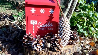 Коледен базар ще се проведе в Зоопарк Стара Загора между