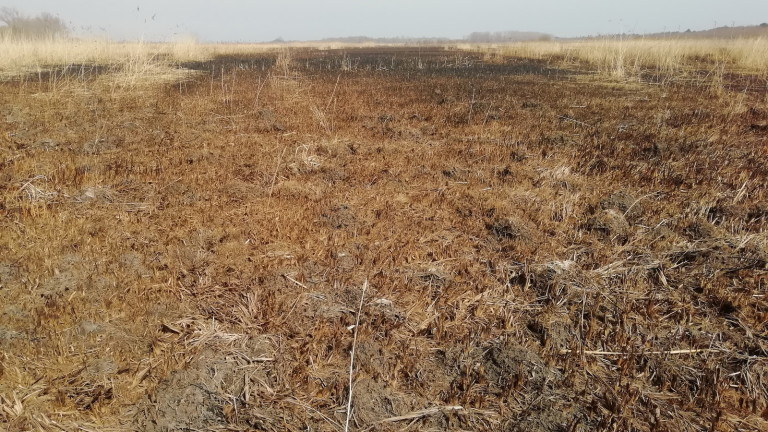 Министърът на околната среда и водите Нено Димов заминава за