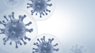 1176 са новите случаи на коронавирус през изминалото денонощие при
