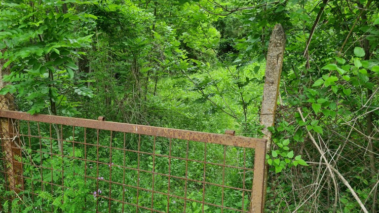 Изображение 534698