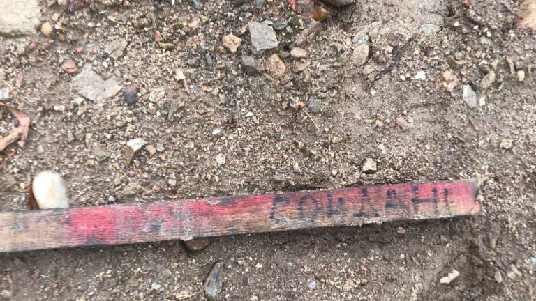 Изображение 405798