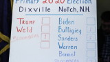 Стотици хиляди демократи гласуват на първичните избори в Ню Хемпшър