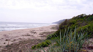 Откриха 2 трупа на плажове край Варна