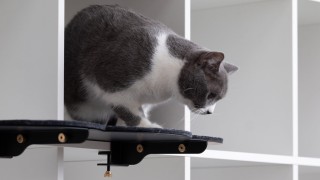 Места за почивка стъпаловидни изкачвания място за точене на нокти