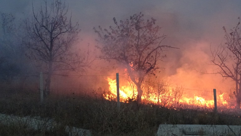 Изображение 386398