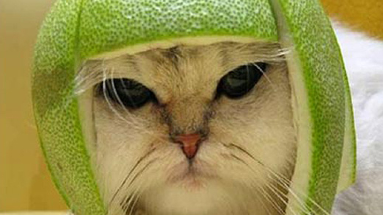 Изображение 57098