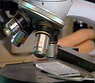 Създадоха човешка кръв в лабораторни условия