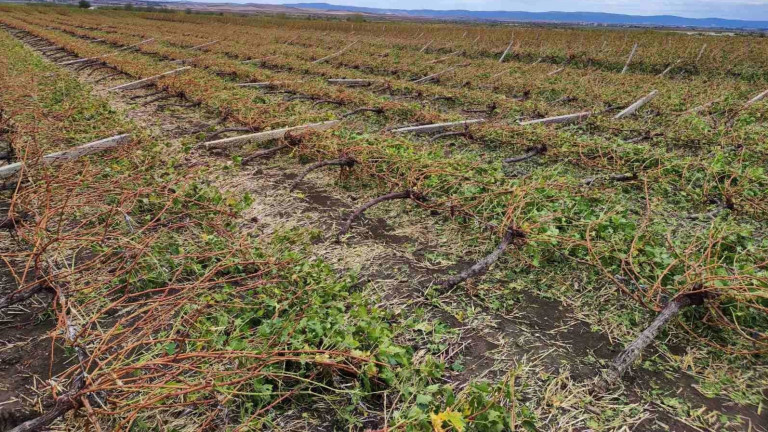 Изображение 588098