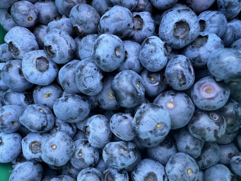 Плодовете на август