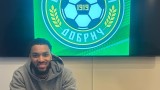 Добруджа привлече бивш футболист на Уулвърхемптън