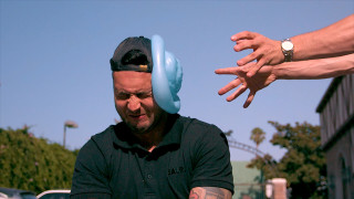 Признаваме си че сме големи фенове на забавните видеа в