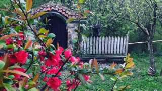 Напоследък ни влече все към Родопите но този път решихме