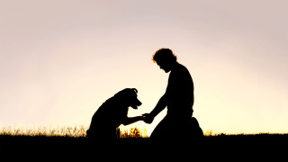 Пожарите бушували миналата седмица в Лос Анджелис са едно от