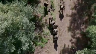 Ръководителят на Службата за сигурност на Украйна Василий Малюк заяви