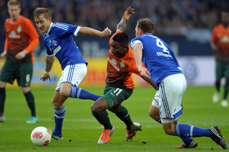 Шалке остава в подножието на върха