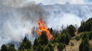 Краварят причинил мащабния пожар в Кресненското дефиле през лятото на