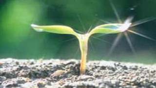 "Форчън" обяви най-бързо развиващите се компании в САЩ за 2006 г.