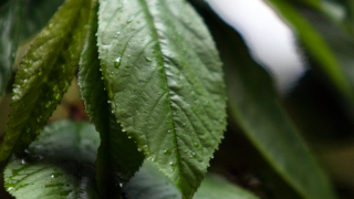 Очаква ни студен уикенд