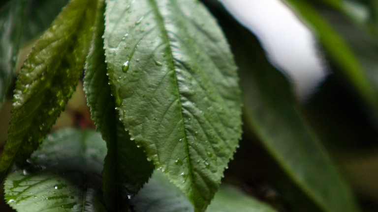 Очаква ни студен уикенд