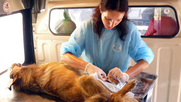 Изображение 99998