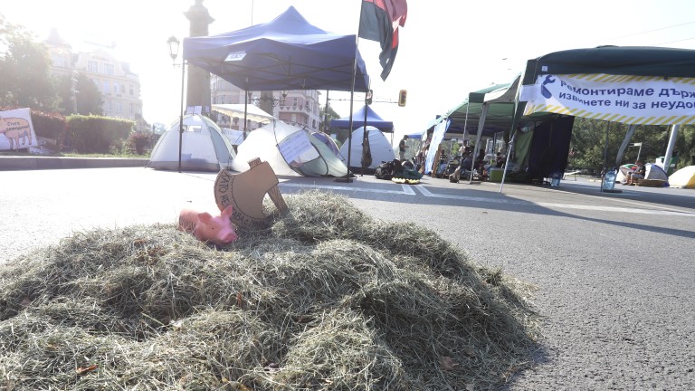 Изображение 490699