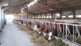  50% от фермите банкрутират, животновъди желаят оставки в Министерство на земеделието и храните 