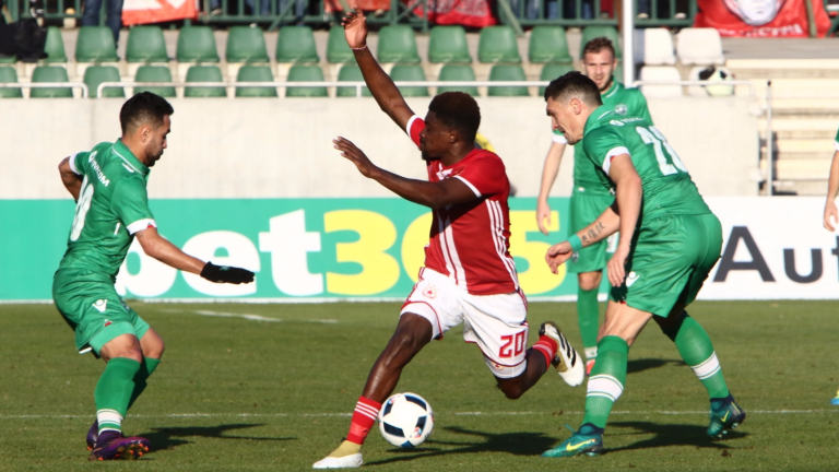 Изображение 261099