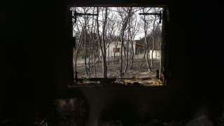Броят на загиналите при пожарите в Гърция нарасна до 93 ма