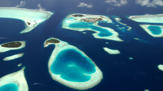 Тропическите Малдиви може да загубят цели острови освен ако не