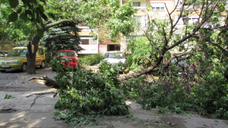 Екипи на Дирекция Аварийна помощ и превенция отговарят на 20