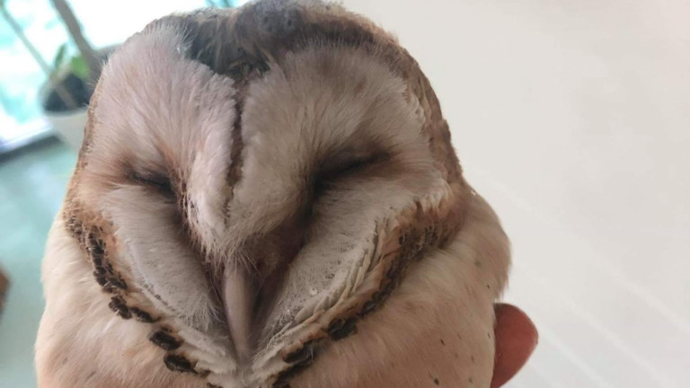 Изображение 482399