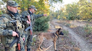 Военни ще охраняват сухопътната граница на България с Румъния съвместно