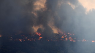Токсичен облак дим от горските пожари в Австралия достигна столицата