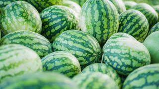 Лабораторните анализи извършени върху партида с дини на 07 07 2023 година