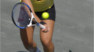 Йелена Янкович на четвъртфинал