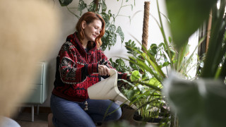 Зимните месеци със сигурност не са най любимото нещо както на