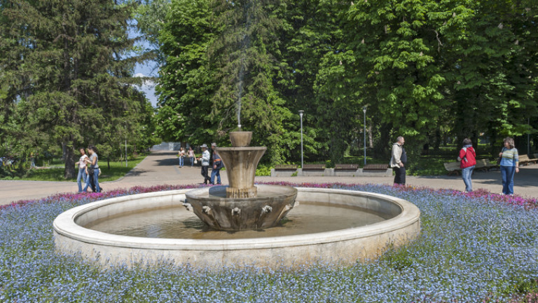 Изображение 573399