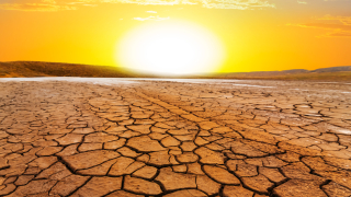 Сушата унищожава храна, достатъчна за изхранването на повече от 80 млн. души