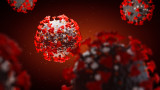 Във Великобритания откриха нов щам на  коронавируса, предупредиха СЗО