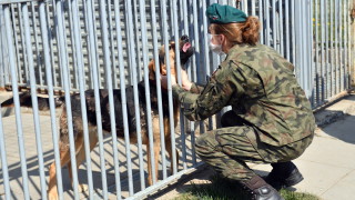 Те откриват оцелели под срутени сгради проследяват бегълци откриват наркотици