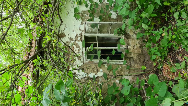 Изображение 534699