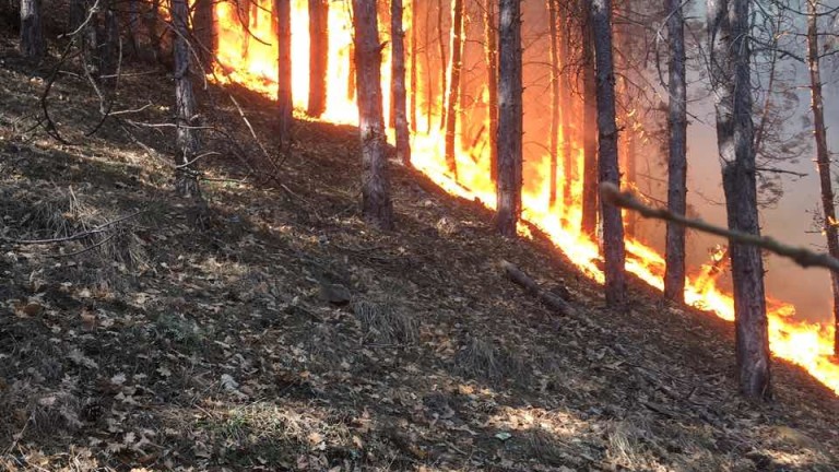 Пожар, избухна източно от хасковското село Клокотница, застрашава да обхване