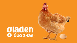 Gladen био знае