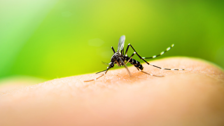 Витамини срещу комари