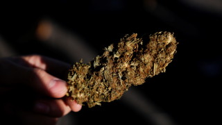 Германия легализира марихуаната