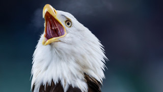 Лудогорец организира специална инициатива за празника на детето 1 юни