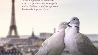 Малкото име на щастието ще излезе в България на 17