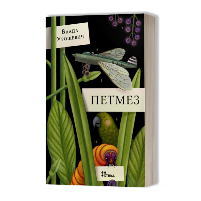 Снимка 568099