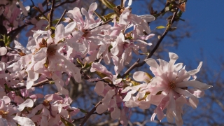 Идват захлаждане и валежи