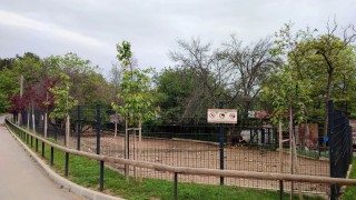 Тежък инцидент е станал в зоопарка в Стара Загора Това